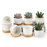 ZOUTOG Succulent Pots 3.15 Inch,4 Pack Succulent Planters,Small Pots for Plants with Drainage and Tray,White Ceramic Flower Planters for Indoor Plants,Home,Office,Desk