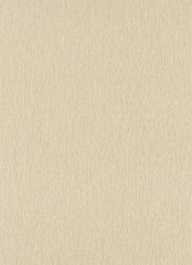 CONCORD WALLCOVERINGS ™ One-Seven-Five, Lavish Futuristic Harmonious Light Brown Wallpaper Sample