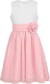 Hansber Kids Girls Sleeveless Pleated Chiffon Dress Layered Rear-Zipper Princess Dress with Flower Brooch