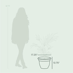 Fiskars Bloem 12 Inch Ariana Planter with Self-Watering Grid, Color Clay
