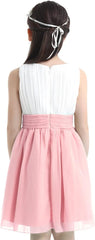 Hansber Kids Girls Sleeveless Pleated Chiffon Dress Layered Rear-Zipper Princess Dress with Flower Brooch