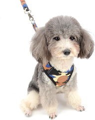 SMALLLEE_LUCKY_STORE CWYP00068-Red-S New Soft Mesh Nylon Vest Pet Cat Small Medium Dog Harness Dog Leash Set Leads ,Red , S