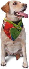 Tropical Parrot Dog Bandana Pet Scarf Accessories for Small Medium Dogs Cats Photo Prop, Triangle Pet Bandanas Adjustable Puppy Bib Washable Dog Kerchief Puppy Neckerchief