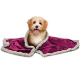 Pawsse Sherpa Puppy Blanket for Small Dogs Kitten, Warm Flannel Plush Pet Bed Blanket Reversible, 45"x30" Wine/Tan