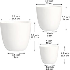 Youngever 6 Pack 4.5 Inch, 5.5 Inch, 6.5 Inch Plastic Planters Indoor Flower Plant Pots Combo (White)