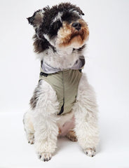 Dog Clothes, Dog Raincoat with Harness Reflective Dog Slicker Poncho Breathable Waterproof Dog Hoodie Rain Jacket for Puppy Small Medium Dogs (2XL:Grey)