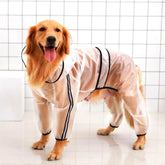 Selena Pregnant Dog Rainwear Raincoat Waterproof Hooded Clear Jacket Large Pet Outdoor Apparel (Medium,Clear)