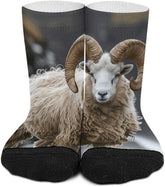 11.8 Inch Ankle Socks With Circular Corners Socks for Women Men Low Cut Thin Sock Soft Moisture-Wicking Sock for Running Sports