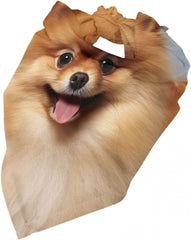 Cute Pomeranian Dog Bandana Pet Scarf Accessories for Small Medium Dogs Cats Photo Prop, Triangle Pet Bandanas Adjustable Puppy Bib Washable Dog Kerchief Puppy Neckerchief