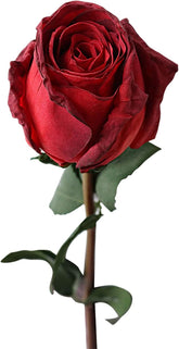 Artificial Rose Artificial Flowers, Artificial Plant, Simulation Flower Vibrant Color Thicker Petals Looking Bent Freely Fine Texture Single Branch Flower Fake Plant Gift Red