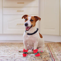iplusmile 4pcs Dog Shoes Non- Pet Boots for Rain and Lightweight for Dogs Easy to Wear for Outdoor Activities