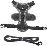 HANABASS Small Dog Harness Leash Reflective Breathable Vest for Cats and Small Dogs for Walking and Outdoor Activities