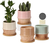 TAMAYKIM 4 Inch Natural Texture Planters with Drainage Hole and Saucer, Small to Medium Cottage Style Ceramic Plant Pots for Flower, Cactus & Herb, for Indoor and Outdoor, Multi-Colors, Set of 4