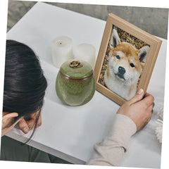 TOYANDONA Ceramic Pet Urn for Ashes Cinerary Casket Memorial Container Keepsake for Cremation for Preserving Pet Remains and Memories
