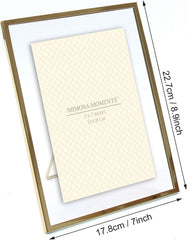 MIMOSA MOMENTS Silver Metal Floating Pressed Glass Picture Frame with Metal Easel, Photo Display for Desk (Silver, 4x6)