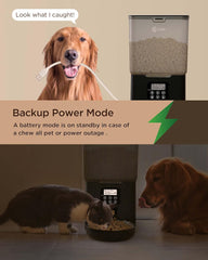 Ciays Automatic Cat Feeder, 5.6L, 4 Meals Per Day, Pet Dry Food Dispenser, Dual Power Supply & Voice Recorder, Black