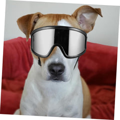 Dog for Outdoor Activities Windproof Eye Sunglasses for Dogs Stylish and Design for Pet Photos and Adventures