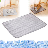 Pet Ice Silk Self Mat, Non-Slip Summer Cooling Mat for pet, Foldable Summer Reusable Pets Cool Bed, Washable & Portable Pet Soft Pad, for Small Medium Large Dogs and Cat (Blue,X-Small)