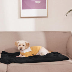 NICETOWN Waterproof Dog Blanket Sherpa Fleece, Small Dogs, Reversible Cat Throw Bed Couch Sofa Furniture Protector, Soft Blanket for Pet Day Pet Lovers Present(24" x 32", Taupe)