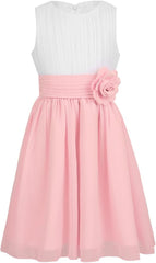 Hansber Kids Girls Sleeveless Pleated Chiffon Dress Layered Rear-Zipper Princess Dress with Flower Brooch