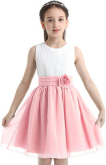 Hansber Kids Girls Sleeveless Pleated Chiffon Dress Layered Rear-Zipper Princess Dress with Flower Brooch