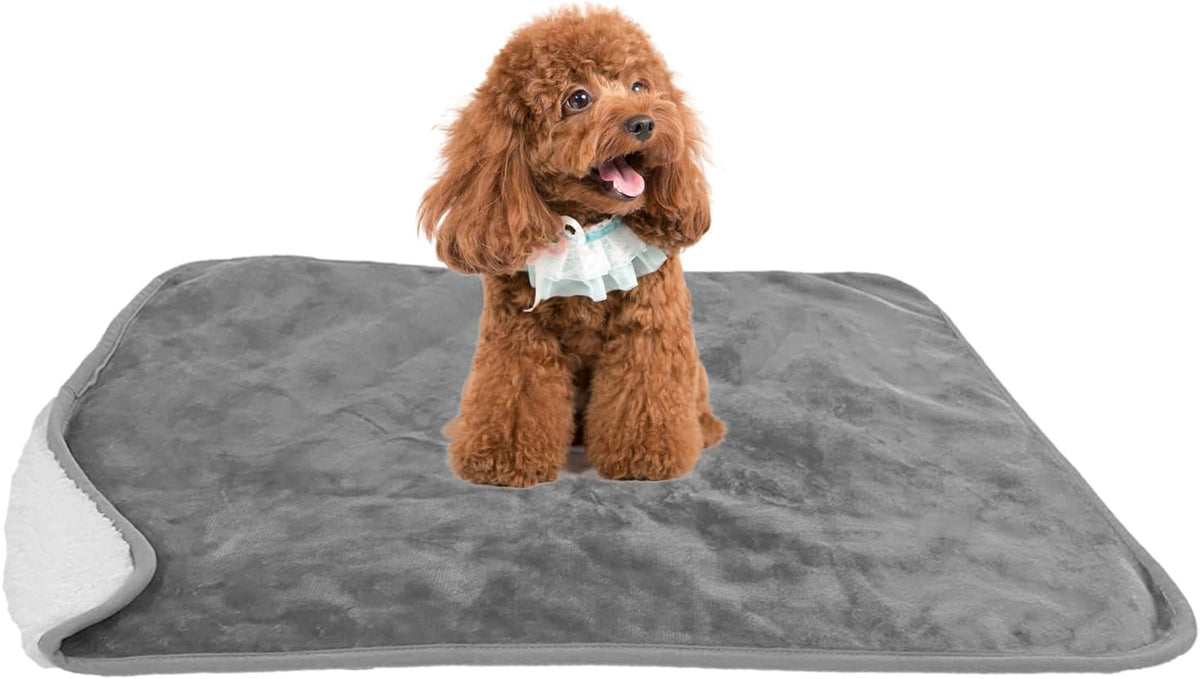 Bucephalus Waterproof Dog Blanket, Thick Reversible Soft Pet Blankets for Couch Bed Protection, Pee Proof Sherpa Fleece Blanket for Small Medium Large Dogs Puppy Cats Washable (Gray,30"×40")