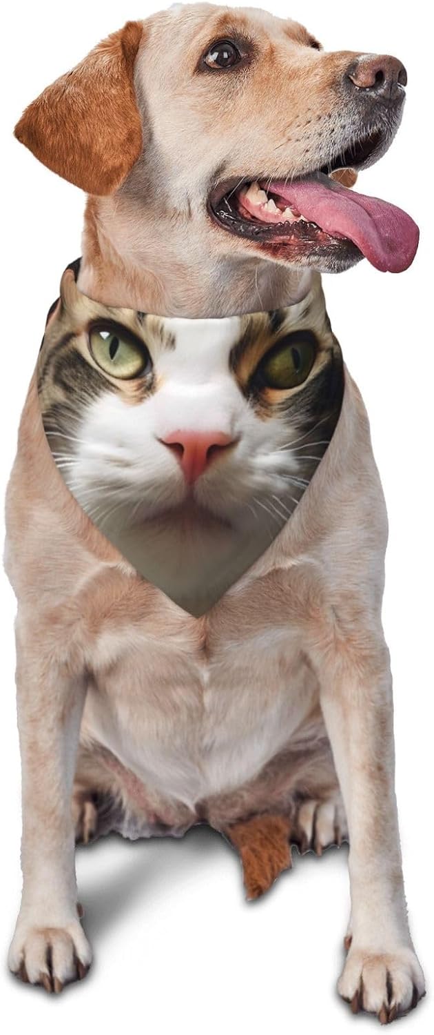 cat Dog Bandana Pet Scarf Accessories for Small Medium Dogs Cats Photo Prop, Triangle Pet Bandanas Adjustable Puppy Bib Washable Dog Kerchief Puppy Neckerchief