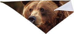 Grizzly Bear Dog Bandana Pet Scarf Accessories for Small Medium Dogs Cats Photo Prop, Triangle Pet Bandanas Adjustable Puppy Bib Washable Dog Kerchief Puppy Neckerchief