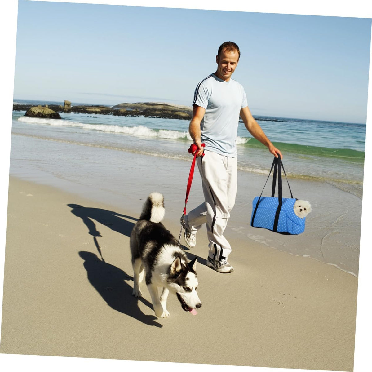 SUPVOX 1pc Portable Pet Backpack for Dogs Shoulder Bag for Travel Breathable and Scratch-Resistant Large Red for Outdoor Use