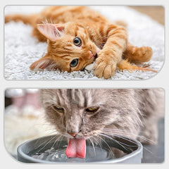 Pet Bowls Automatic Pet Cat Water Fountain Dog Cat Pet Mute Drinker Feeder Bowl Pet Drinking Fountain Dispenser Puppy Food Bowl Pink