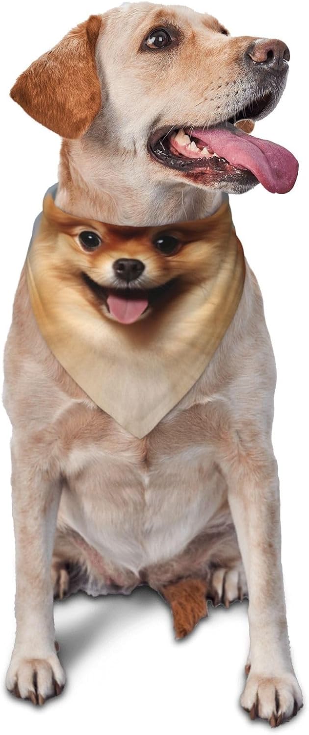 Cute Pomeranian Dog Bandana Pet Scarf Accessories for Small Medium Dogs Cats Photo Prop, Triangle Pet Bandanas Adjustable Puppy Bib Washable Dog Kerchief Puppy Neckerchief