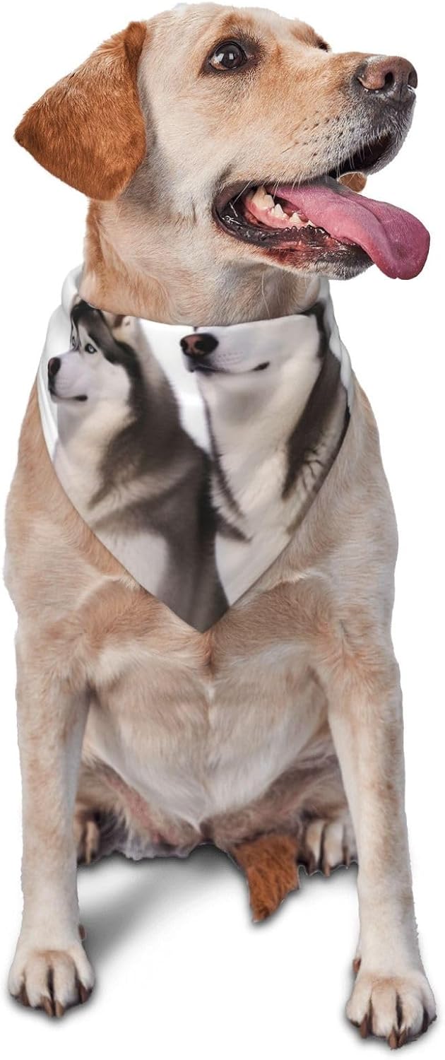 Husky Dogs Dog Bandana Pet Scarf Accessories for Small Medium Dogs Cats Photo Prop, Triangle Pet Bandanas Adjustable Puppy Bib Washable Dog Kerchief Puppy Neckerchief