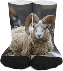 11.8 Inch Ankle Socks With Circular Corners Socks for Women Men Low Cut Thin Sock Soft Moisture-Wicking Sock for Running Sports