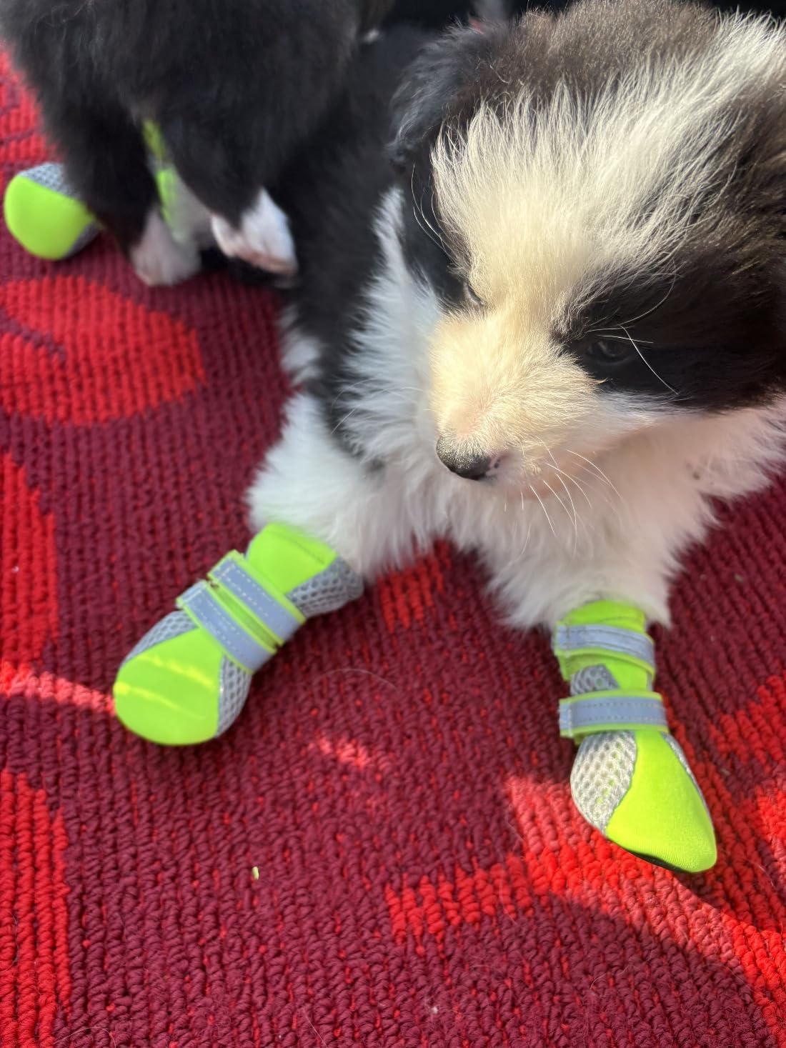 Puppy Soft Sole Nonslip Mesh Boots, with 2 Reflective Straps, Set of 4, Size XXS Color Pink