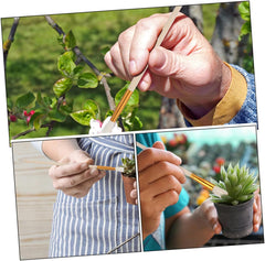 balacoo 6pcs Vegetable Pollinator Tool Plant Pollination Pen for Fruit Tree Herb Outdoor Pollination Hand Tools