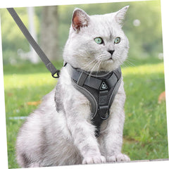 Pet Vest Harness Dog Leash Rope Cat Harness Small Dog Vest Comfortable Elastic Design Size l