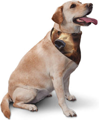 Grizzly Bear Dog Bandana Pet Scarf Accessories for Small Medium Dogs Cats Photo Prop, Triangle Pet Bandanas Adjustable Puppy Bib Washable Dog Kerchief Puppy Neckerchief