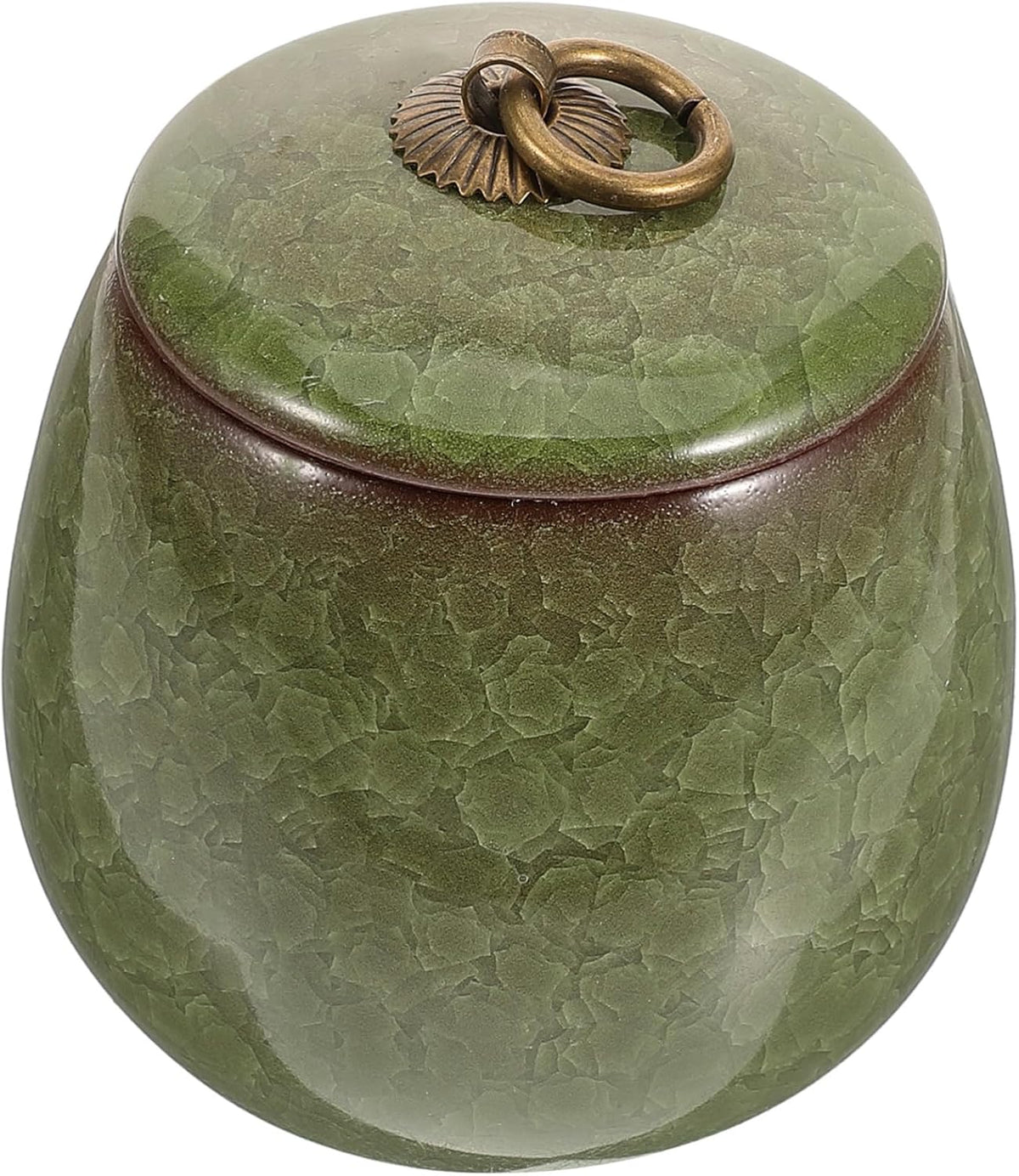 TOYANDONA Ceramic Pet Urn for Ashes Cinerary Casket Memorial Container Keepsake for Cremation for Preserving Pet Remains and Memories