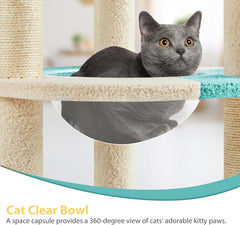 Yaheetech Cat Tree, 35.5in Cat Tower for Indoor Kittens, Kitty House with Scratching Posts & Padded Perch & Space Capsule, Cute Scratching Tree, Pet Furniture for Kittens, Blue/Beige
