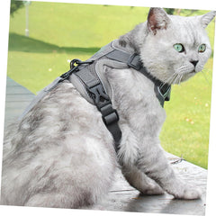 HANABASS Small Dog Harness Leash Reflective Breathable Vest for Cats and Small Dogs for Walking and Outdoor Activities