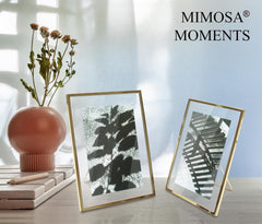MIMOSA MOMENTS Silver Metal Floating Pressed Glass Picture Frame with Metal Easel, Photo Display for Desk (Silver, 4x6)