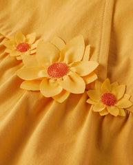 Gymboree Girls and Toddler Long Sleeve Tiered Dresses